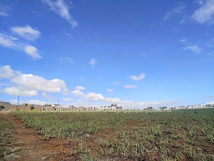 Magnificent land for real estate development / investor