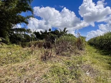 Agricultural Land