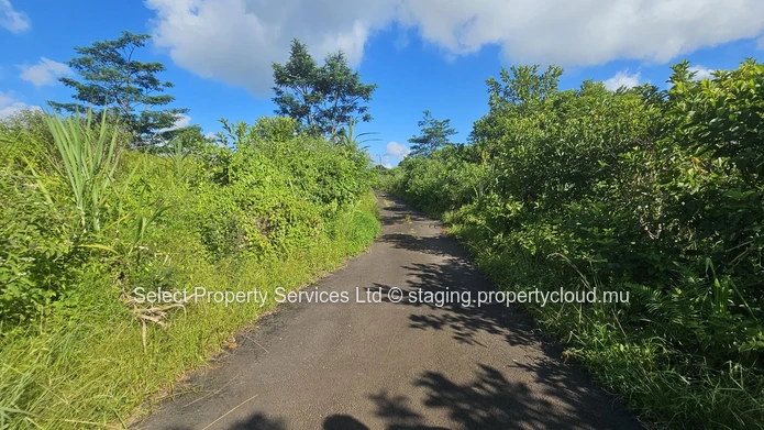 Agricultural Land for Sale - Morcellement - Montagne Blanche