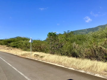 Residential Land