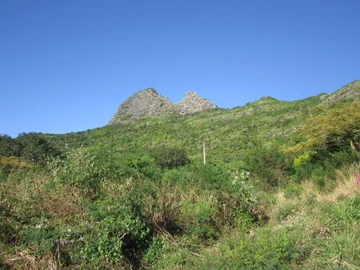 Terrain