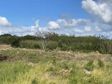 Agricultural Land