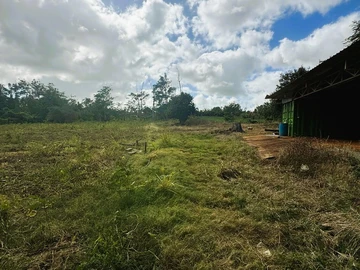 Commercial Land