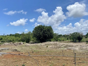 Agricultural Land