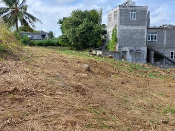Terrain