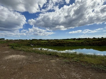 Residential Land