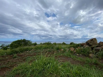 Agricultural Land