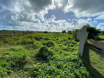 Terrain Résidentiel