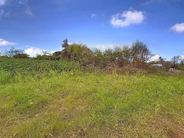 Terrain