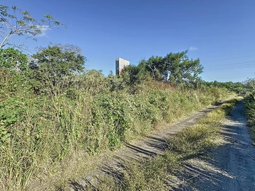 Terrain