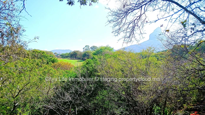 For Sale: Luxurious 4-Bedroom Villa in Tamarin