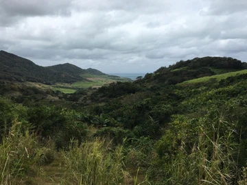 Agricultural Land