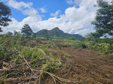 Agricultural Land