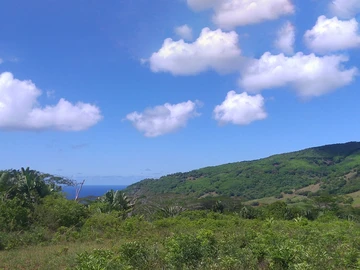 Terrain
