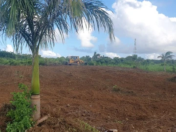 Land