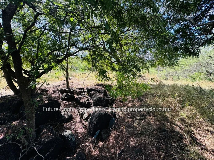 Superbe Terrain à Vendre dans le Domaine TEREMINALIA – Morcellement Belouguet