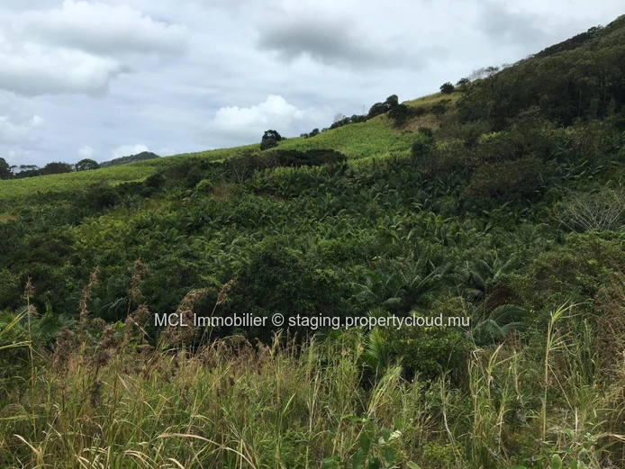Terrain agricole de 9 arpents 42 perches  à Anse Jonchée