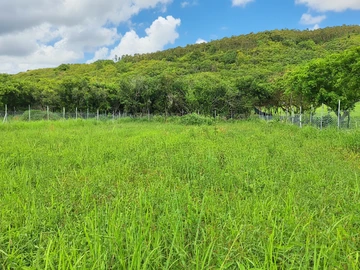Terrain Agricole