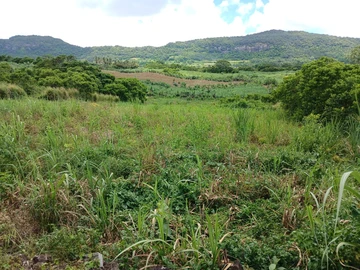 Agricultural Land