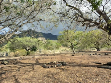 Residential Land