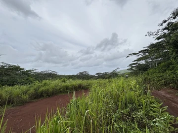 Agricultural Land