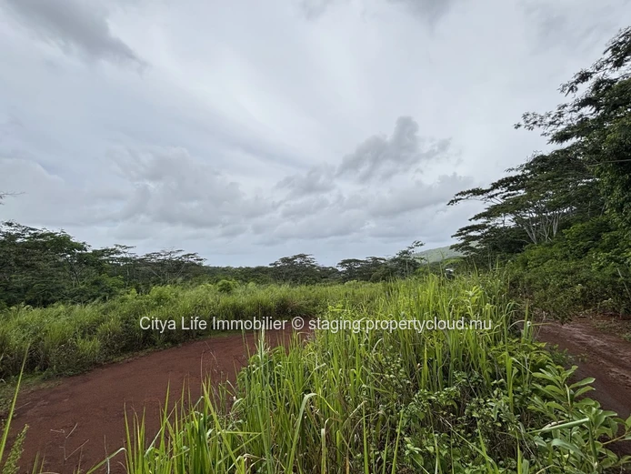 Terrain à vendre Chamarel