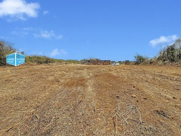 Land