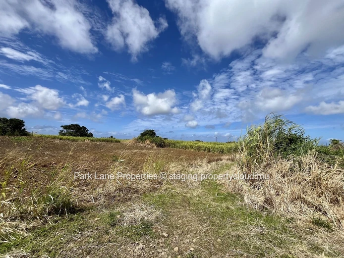 Terrain Agricole à Vendre à Chamouny, Île Maurice – 20,80 Arpents