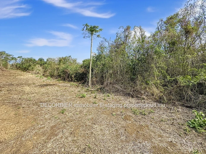À Vendre La Salette Grand Baie Terrain Constructible