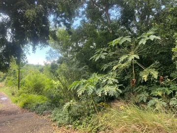 Residential Land