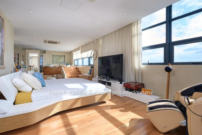 Luxury Penthouse