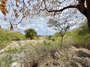 Residential Land