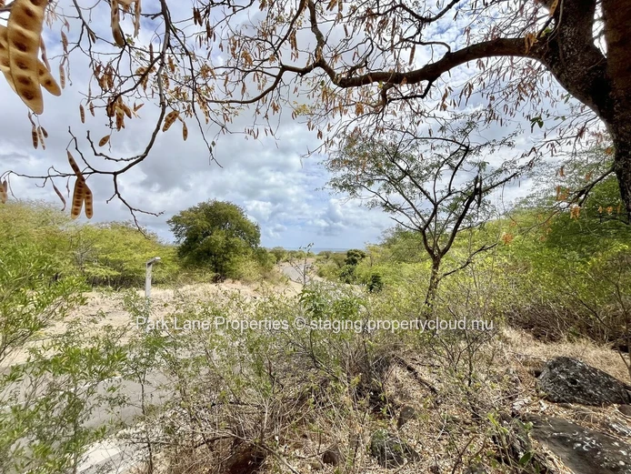 Terrain résidentiel de 1 acre à vendre au Domaine de Palmyre, Petite Rivière Noire