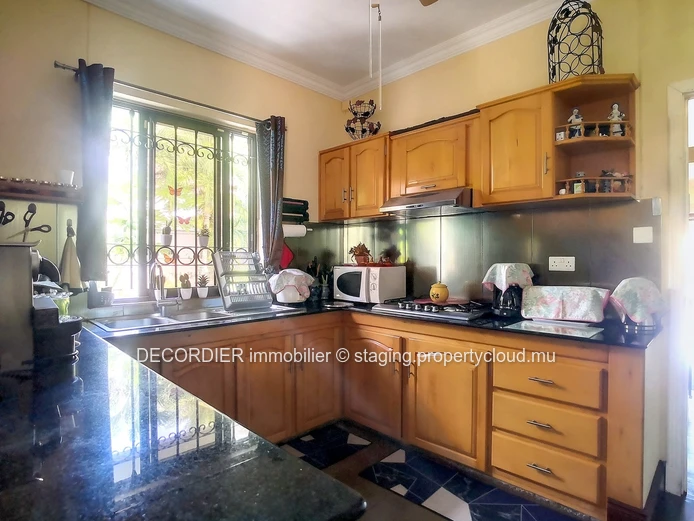 Large detached house with pool and garden with trees