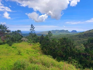 Commercial Land