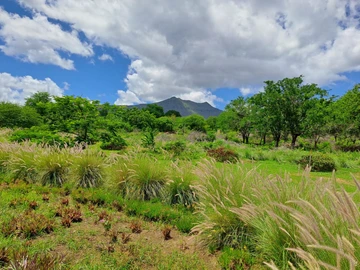 Residential Land