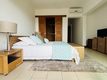 3 Bedroom Penthouse