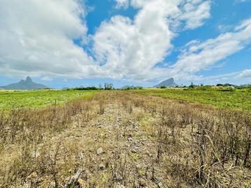 Agricultural Land