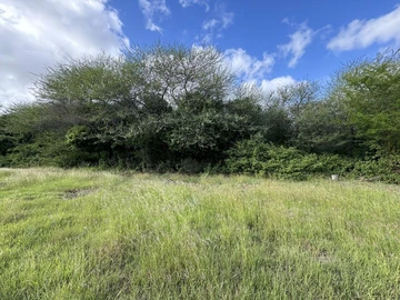 Residential Land