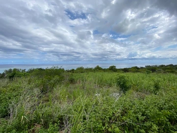 Agricultural Land