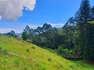 Commercial Land