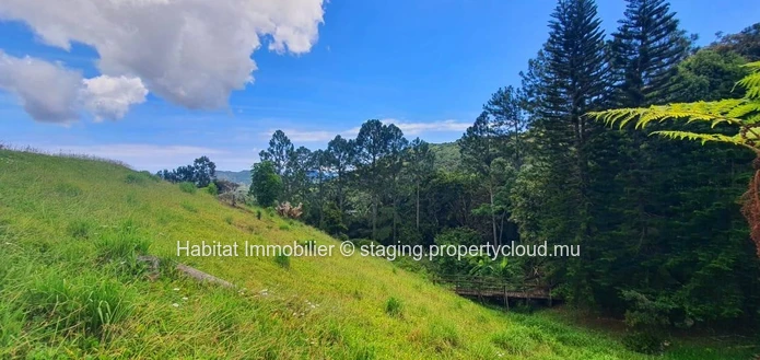 A VENDRE - Ce magnifique terrain commercial de 2 arpents 13 situé dans un cadre enchanteur à Plaine Champagne