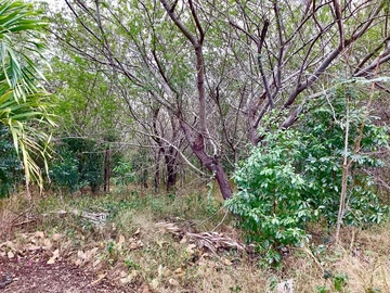 Residential Land