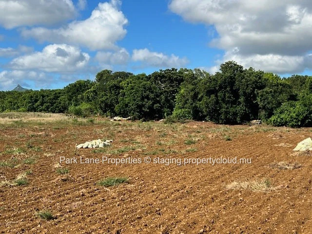 Opportunité d'Investissement d'exception : Terrain agricole stratégiquement situé à Valentina.