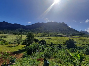 Residential Land