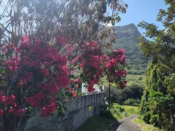 Residential Land