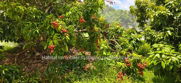 Ce terrain agricole clôturé de 1 arpent 17 situé à La Flora est un véritable joyau