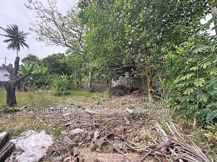 À vendre – Terrain résidentiel à Plaine des Papayes (Mandat exclusif)