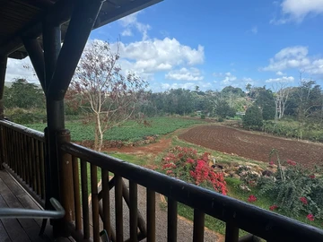 Commercial Land