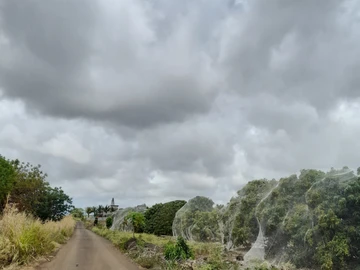 Agricultural Land